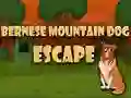 Spel Ontsnap van de Berner Sennenhond online Spel Ontsnap van de Berner Sennenhond online