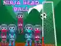 Spel Ninja Hoofd Bal online Spel Ninja Hoofd Bal online
