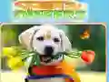 Spel Vind en Verschil online Spel Vind en Verschil online