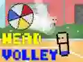 Spel Hoofds Volley online