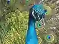Spel Puzzel Set online Spel Puzzel Set online