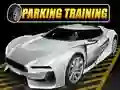 Spel Parkeer Training online Spel Parkeer Training online