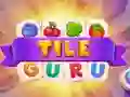 Spel Tegel Guru online