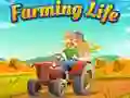 Spel Boerenleven online