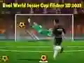 Spel Echte Wereldvoetbalbeker Flicker 3D 2023 online