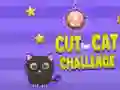 Spel Snijden Voor Kat Uitdaging online Spel Snijden Voor Kat Uitdaging online
