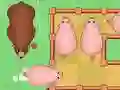 Spel Red de Varkens online Spel Red de Varkens online