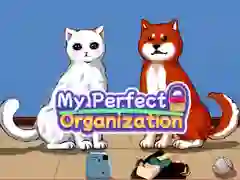 Spel Mijn perfecte organisatie online