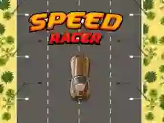 Spel Snelheidsrijder online