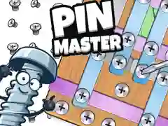 Spel Pin Meester online Spel Pin Meester online