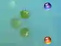 Spel Mijn avonturen online