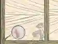 Spel Bubbel Quod online