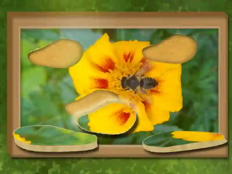Spel Find & Restore: Hidden Puzzle online