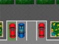 Spel Parkeerpassie online