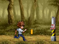 Spel Dwaas Renner online