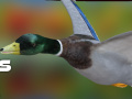 Spel Eendeneuroper: Herfstbos online