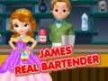 Spel James De Echte Bartender online