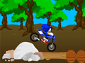 Spel Cross Sonic Race online