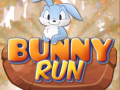 Spel Konijnenrace online