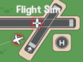 Spel Vliegtuigsimulator online