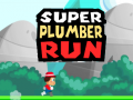 Spel Super Loodgieter Rennen online