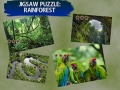 Spel Puzzel Regenwoud online