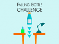 Spel Vallende Fles Uitdaging online