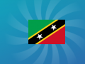Spel Raad de Vlag online