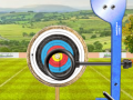 Spel Wereldtour Boogschieten online