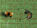Spel Labyrint van Infectie online