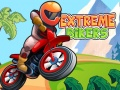 Spel Extreme Bikers online