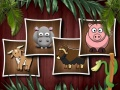 Spel Dierenvormen 3 online