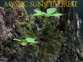 Spel Mystiek zonsondergangsfore online