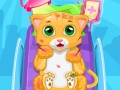 Spel Kleine Kat Arts online