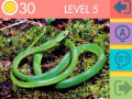 Spel 15 Beeld Quiz online