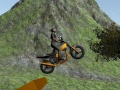 Spel Dirt Bike Rijder online