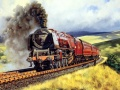 Spel Treinreizen Puzzel online