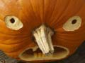 Spel 5-in-1 plaatjespuzzel: Halloween online