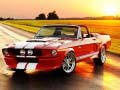 Spel Verschillen in Fancy Mustang online