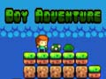 Spel Jongen Avontuur online