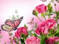 Spel Vlinders Puzzel online