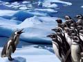 Spel Pinguïns Glijden online