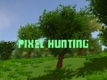 Spel Pixeljacht online