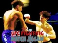 Spel UFC Vechtwedstrijd Puzzel online