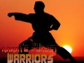 Spel Karate Zonsondergang Krijgers online