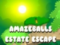 Spel Geweldige Ontsnapping uit Landgoed online