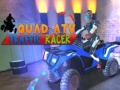Spel Quad ATV Verkeer Racer online