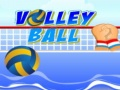 Spel Volleybal online