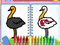 Spel Vogels Kleurspel online