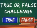 Spel Waar of Niet Waar Uitdaging online